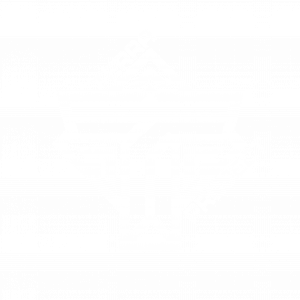 Проект Terra 